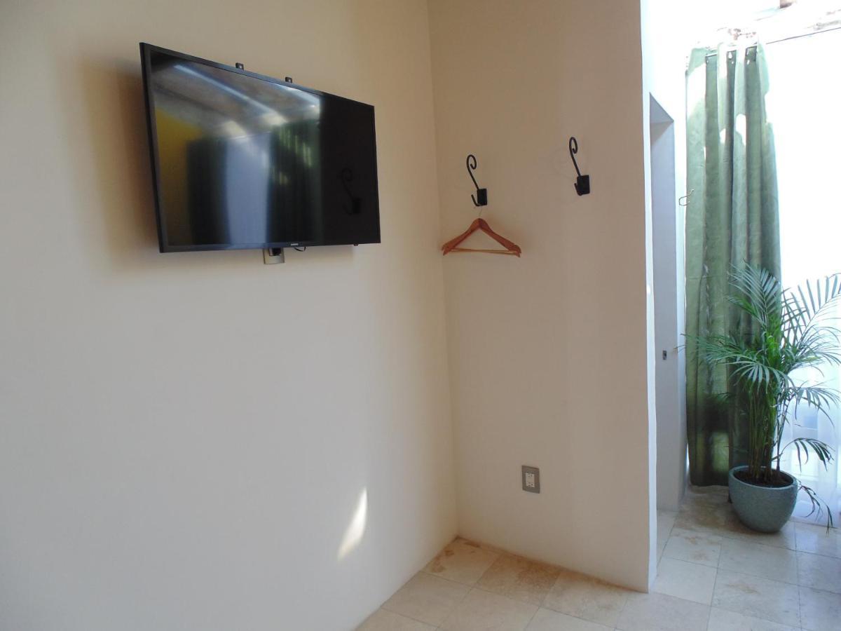Coyota House Un Hotelito Boutique En El Centro De Coyoacan Precio Promocion 멕시코 시 외부 사진