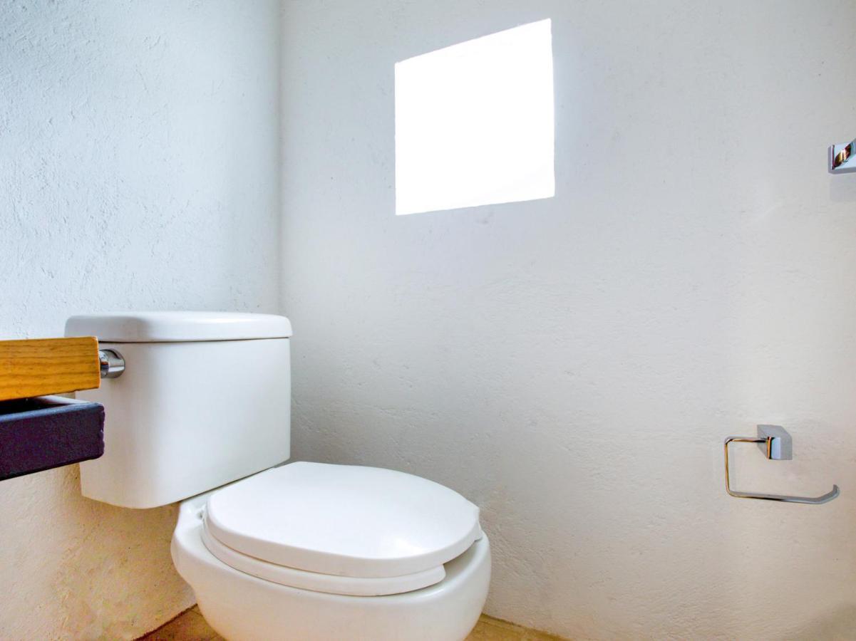 Coyota House Un Hotelito Boutique En El Centro De Coyoacan Precio Promocion 멕시코 시 외부 사진
